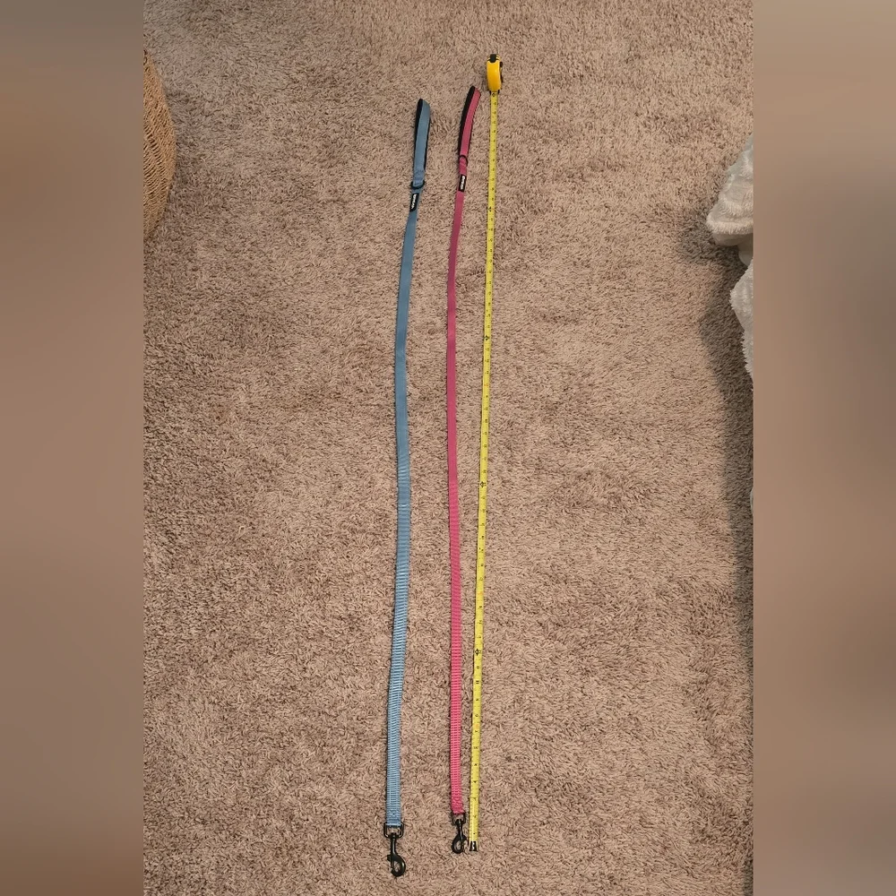 2 Voyager Dog Leashes - Pink And Blue (1206)